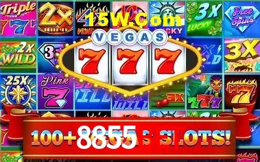 8855Bet Salvador - Promo Stats